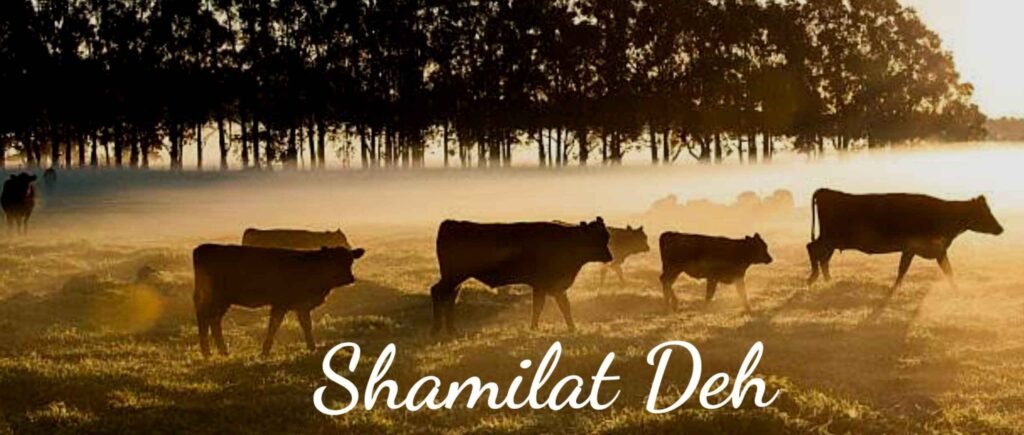 Shamilat deh or lal lakeer