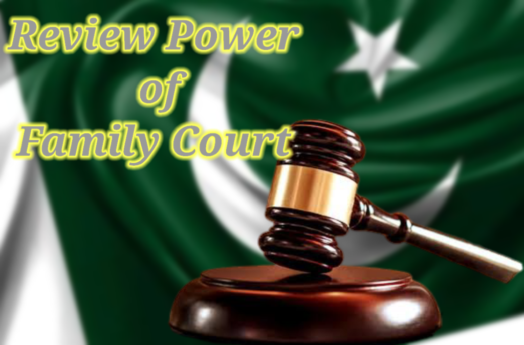 Review power of family court