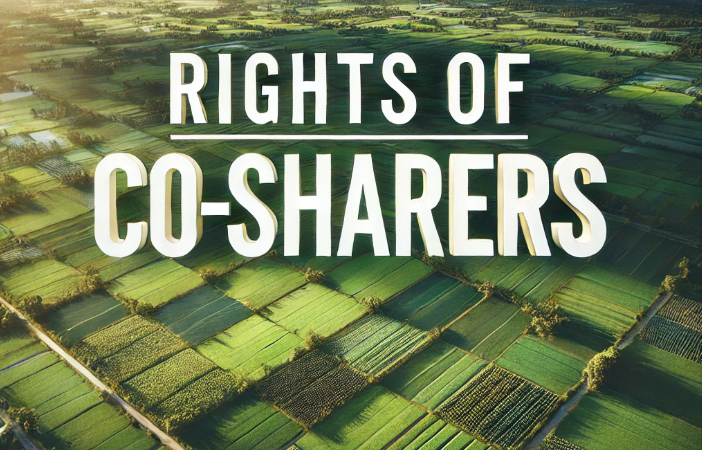 Co-sharers in immovable property